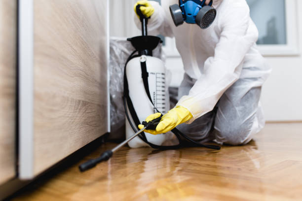 Best Pest Inspection Near Me  in San Pablo, NM
