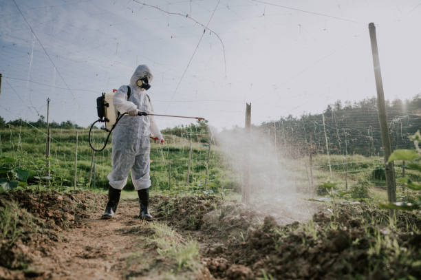 Best Pest Prevention Services  in San Pablo, NM