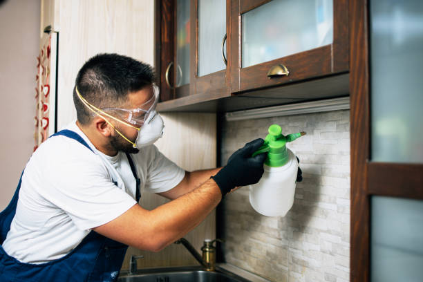 Best Commercial Pest Control Services  in San Pablo, NM