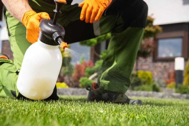 Best Pest Control for Restaurants  in San Pablo, NM