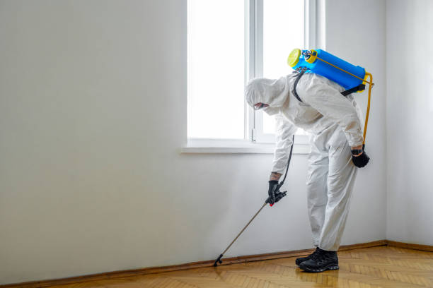 Best Pest Removal Services  in San Pablo, NM
