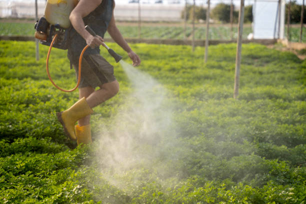 Best Pest Control Near Me  in San Pablo, NM