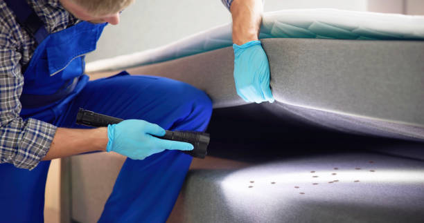 Best Cockroach Control Services  in San Pablo, NM