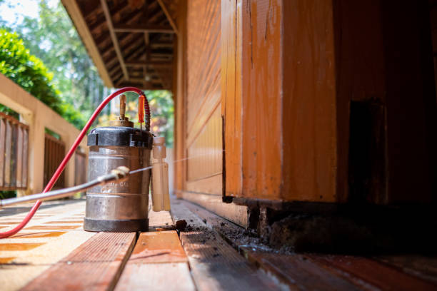 Best Pest Control Treatment  in San Pablo, NM