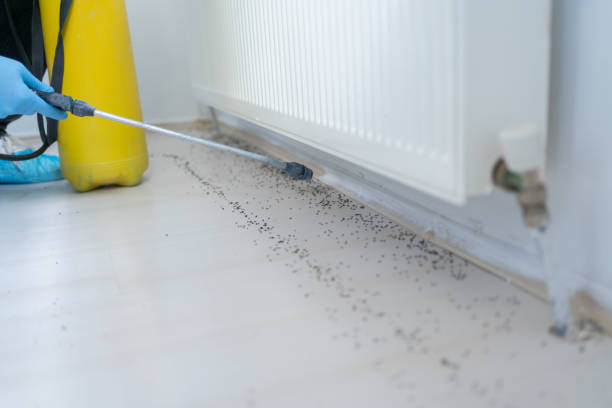 Pest Prevention Services in San Pablo, NM