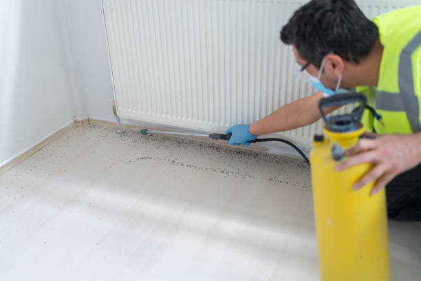 Best Local Pest Control Services  in San Pablo, NM